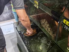 -岛中岛·海鲜大排档·万宁老字号(东澳店)