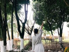 -雅安楠水阁温泉酒店