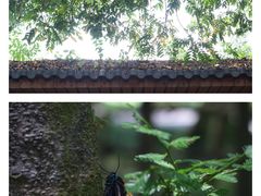 -华南国家植物园-售票处