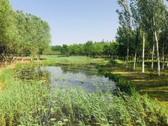 -东郊湿地公园