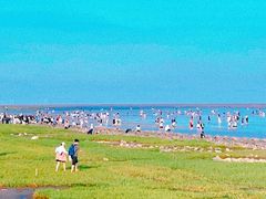 -南汇嘴观海公园