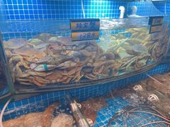 -望海潮海鲜店 特色家常菜(在海一方店)
