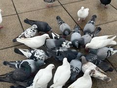 -大连人民广场