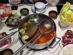 -陈记顺和潮汕牛肉火锅(韩江路店)