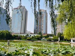 -团结湖公园