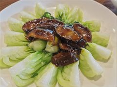 -乔家栅(襄阳南路店)