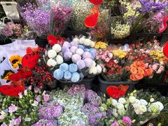 -溪岸路花鸟市场