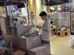 -藏猫猫咖啡主题馆(中央大道店)