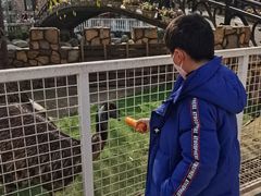 -金庭庄园酒店-停车场