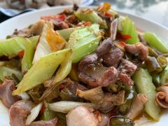 -铁山坪森林公园