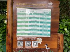-华侨城湿地公园