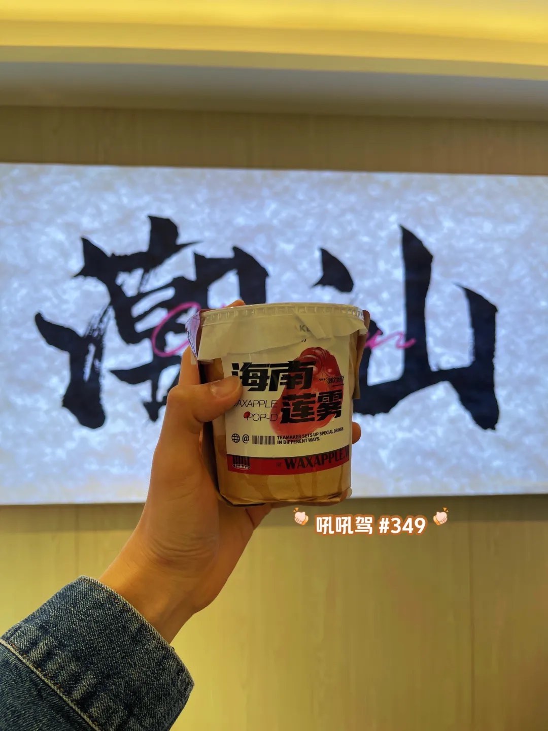 大浪潮汕特产_潮汕和汕头是一个地方吗（潮汕大浪是什么意思）