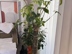 -悦园影院式·足道·养生spa