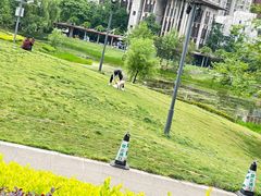 -花果园湿地公园