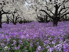 -江苏三台山国家森林公园