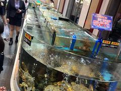 水产区-乐在集市海鲜大排档(平潭店)