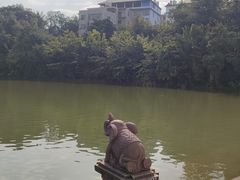 -西双版纳原始森林公园