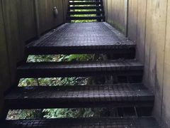 -怀托摩萤火虫洞