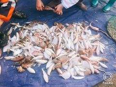 -青岛沙子口国家中心渔港