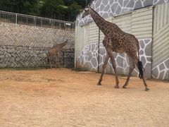 -泉州海丝野生动物世界