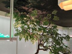 -绿茶餐厅(广州天河城店)