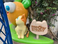 -猫咪博物馆(顶澳仔猫街店)