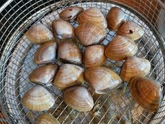 白蚬子-海味当家·蒸锅海鲜(星海公园店)
