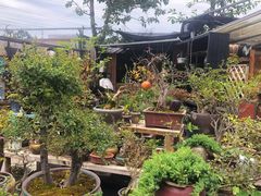 -三圣花乡旅游区