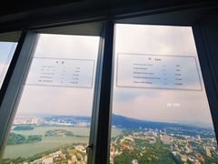 -紫峰大厦
