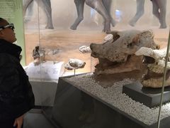 -国家自然博物馆