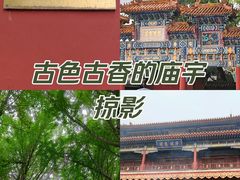 -雍和宫