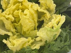 -草原传奇鲜羊火锅(桥北店)