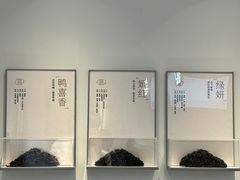 -喜茶(广州五羊邨店)