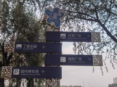 -丁香湖公园