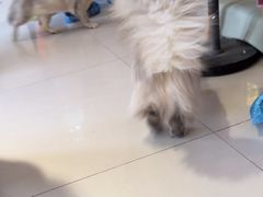 -平行世界·猫咖(首经贸店)