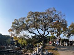 -无锡蠡湖国家湿地公园-蠡园