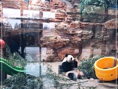 -石家庄市动物园