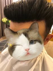 -乐绅男士高端假发定制