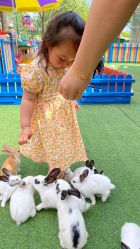 -萌宠亲子动物乐园(槐房万达店)