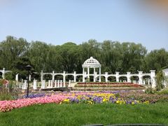 iphone_upload_pic-月亮河温泉度假酒店