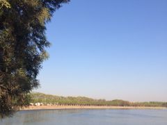 iphone_upload_pic-素心小筑(后沙裕镇店)