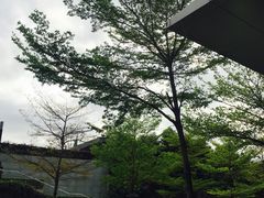 -Apple零售店(深圳益田假日广场店)