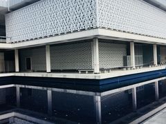 -罗汉果龙眼冰糖燉冬瓜