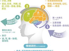 -多特儿童专注力·感统训练·注意力提升培训(锦峰训练中心)