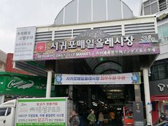 -西归浦每天偶来市场
