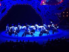 iphone_upload_pic-珠海横琴长隆《卡卡虎奇遇记》