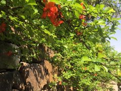 -昆山城市生态森林公园