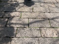 -普陀山慧济禅寺