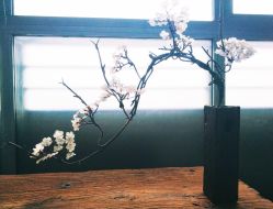 -酉嘉瑜伽YO+YOGA