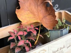 -RUMORS COFFEE ROASTERY鲁马滋咖啡(湖南路店)